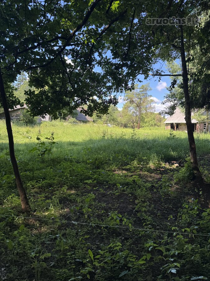 Sodyba su 4,7 ha sklypu šalia Kantaučių - nuotraukos Nr. 6