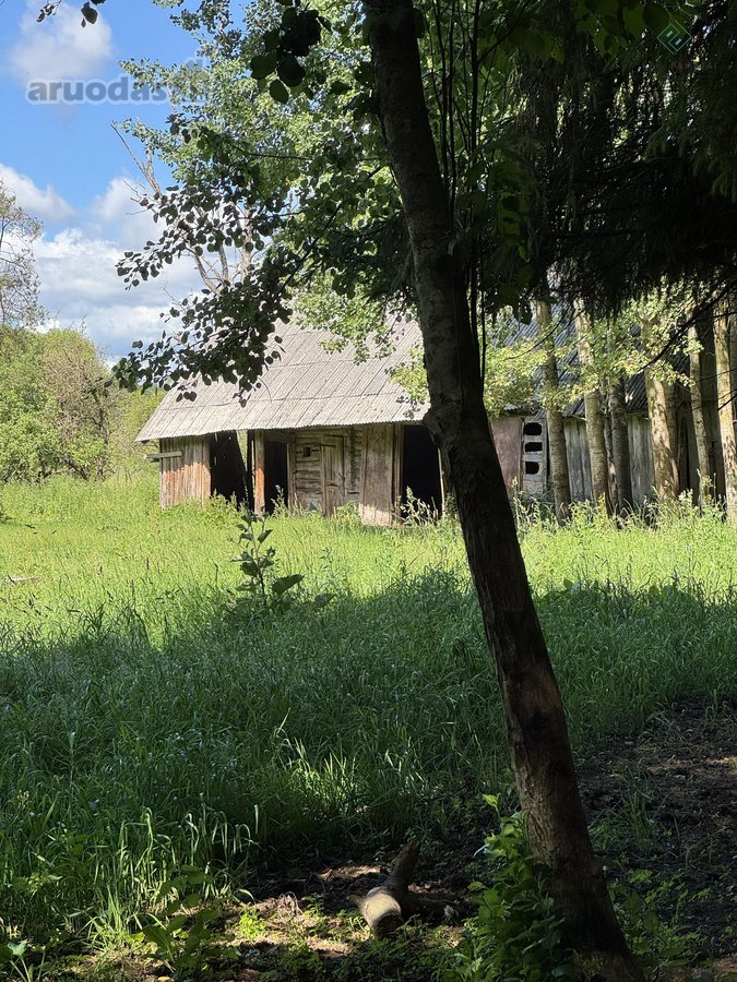 Sodyba su 4,7 ha sklypu šalia Kantaučių - nuotraukos Nr. 7