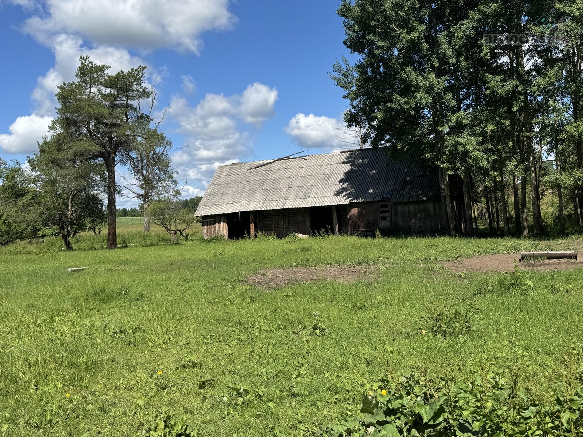 Sodyba su 4,7 ha sklypu šalia Kantaučių - nuotraukos Nr. 3