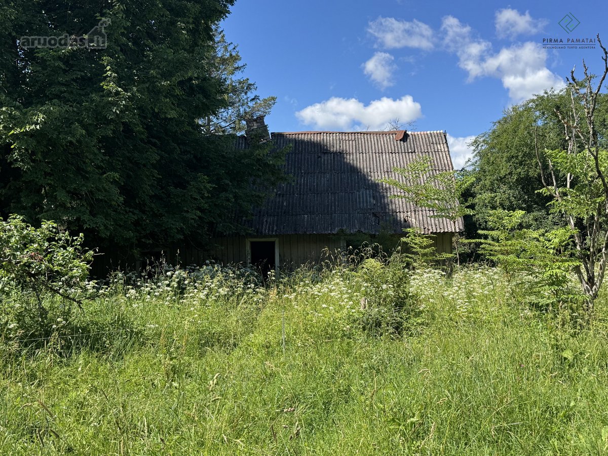 Sodyba su 4,7 ha sklypu šalia Kantaučių - nuotraukos Nr. 10