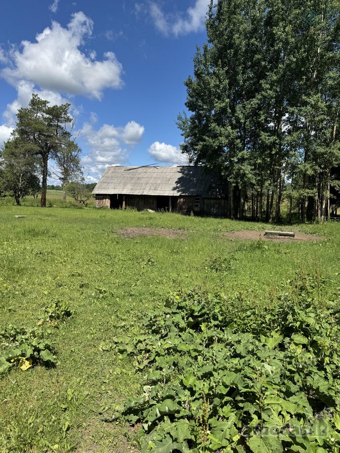 Sodyba su 4,7 ha sklypu šalia Kantaučių - nuotraukos Nr. 11