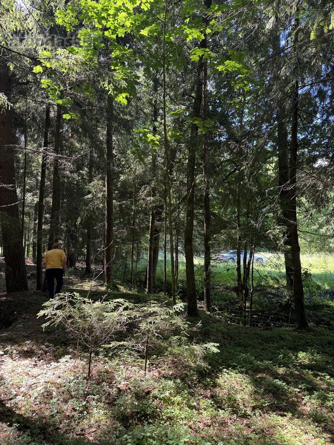 Sodyba su 4,7 ha sklypu šalia Kantaučių - nuotraukos Nr. 12