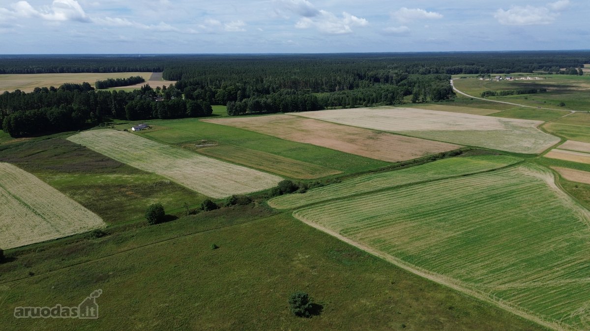 Parduodamas 1,04 ha (104 arų) namų valdos - nuotraukos Nr. 9