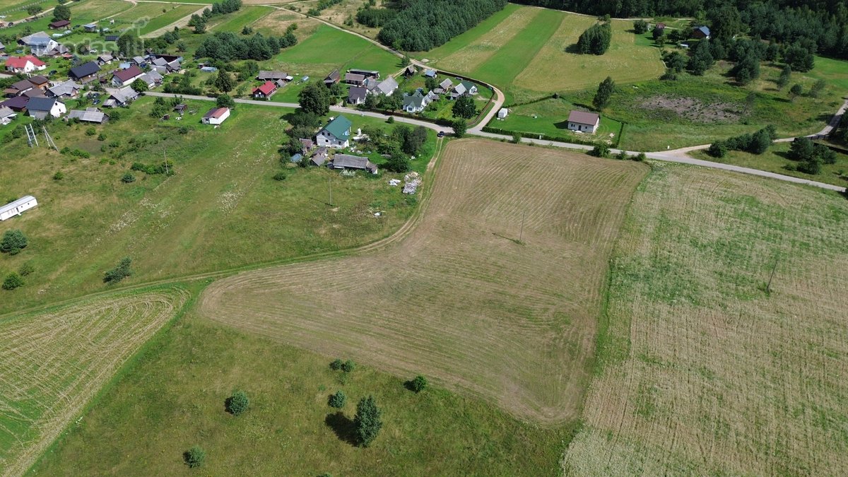 Parduodamas 1,04 ha (104 arų) namų valdos - nuotraukos Nr. 4