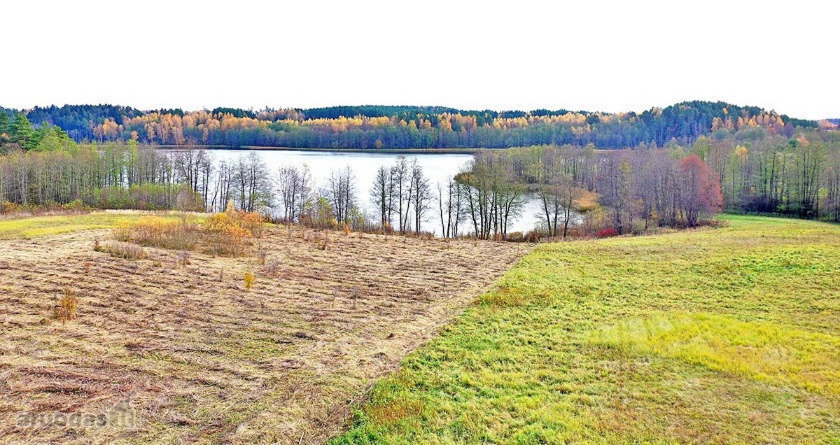 Parduodamas 0,85 ha namų valdos žemės sklypas - nuotraukos Nr. 6