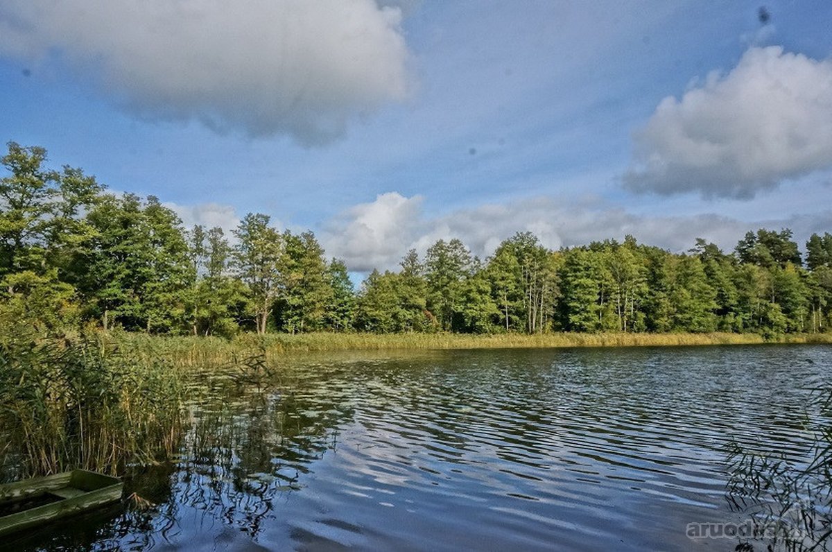 Parduodamas 0,85 ha namų valdos žemės sklypas - nuotraukos Nr. 7