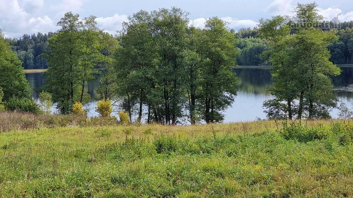 Parduodamas 0,85 ha namų valdos žemės sklypas - nuotraukos Nr. 8