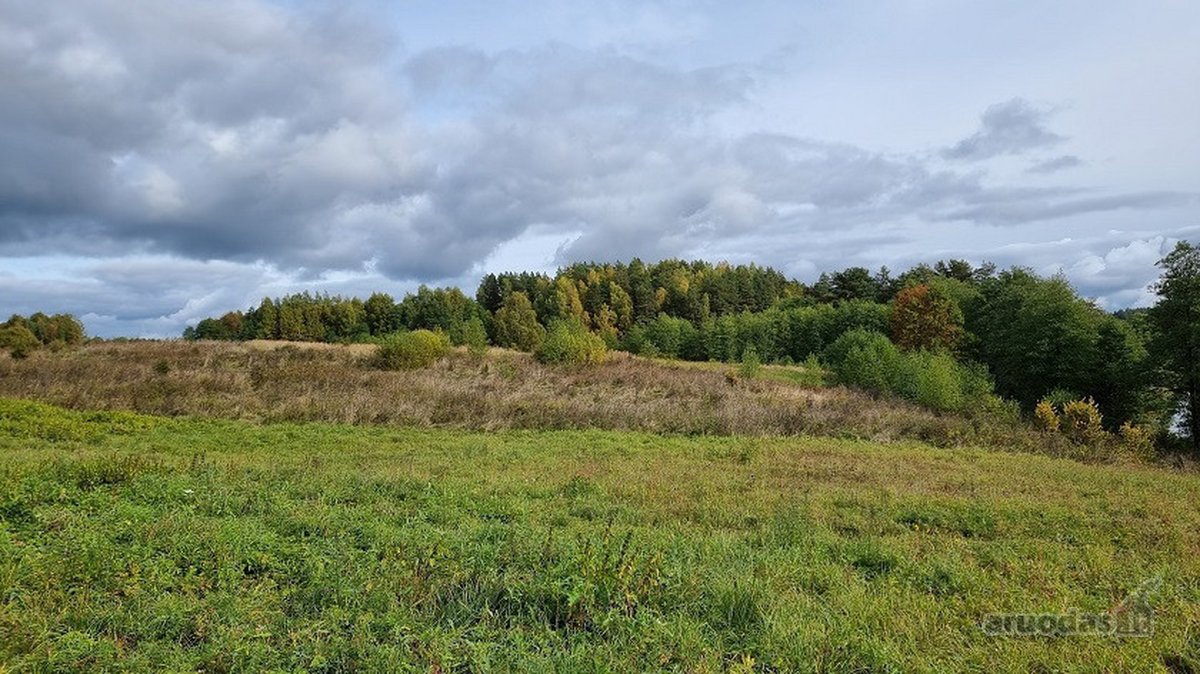 Parduodamas 0,85 ha namų valdos žemės sklypas - nuotraukos Nr. 12