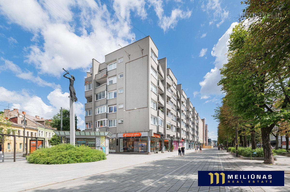 Parduodamas Jaukus 2 Kambarių Butas Pačioje - nuotraukos Nr. 24