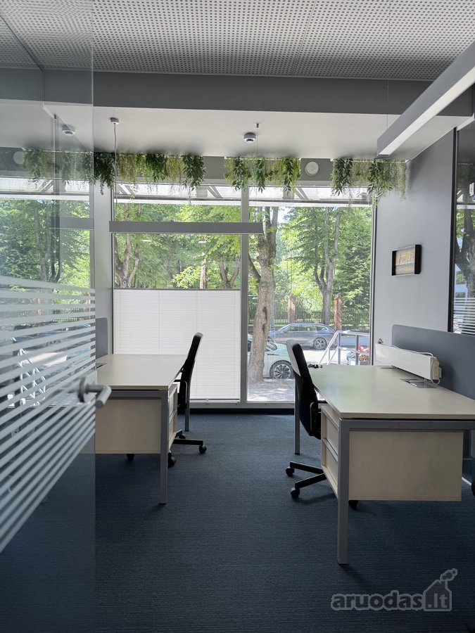 Nuomojamos 309 m² komercinės patalpos vienoje - nuotraukos Nr. 3