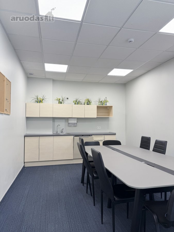 Nuomojamos 309 m² komercinės patalpos vienoje - nuotraukos Nr. 12