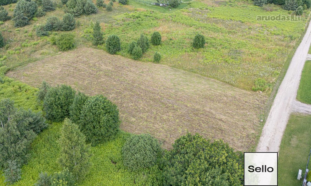  – Nt ekspertai be procentų - nuotraukos Nr. 18