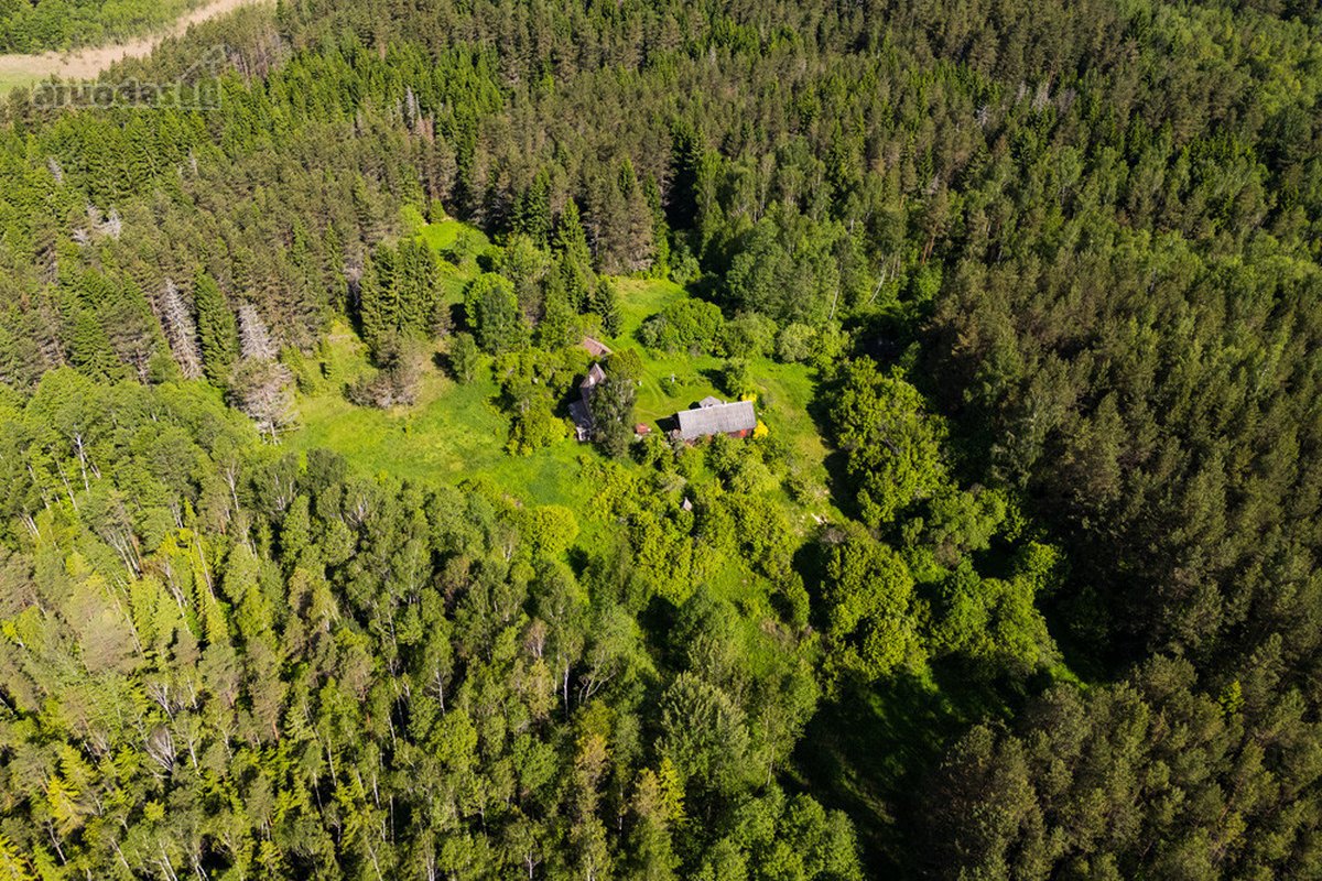 Išskirtinė Sodyba Su Tvenkiniu Miškų - nuotraukos Nr. 2