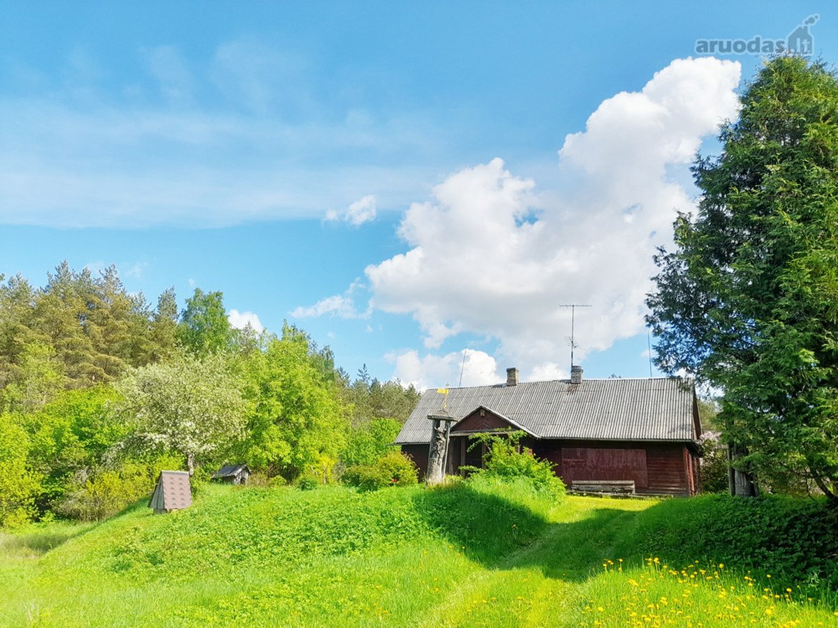Išskirtinė Sodyba Su Tvenkiniu Miškų - nuotraukos Nr. 14