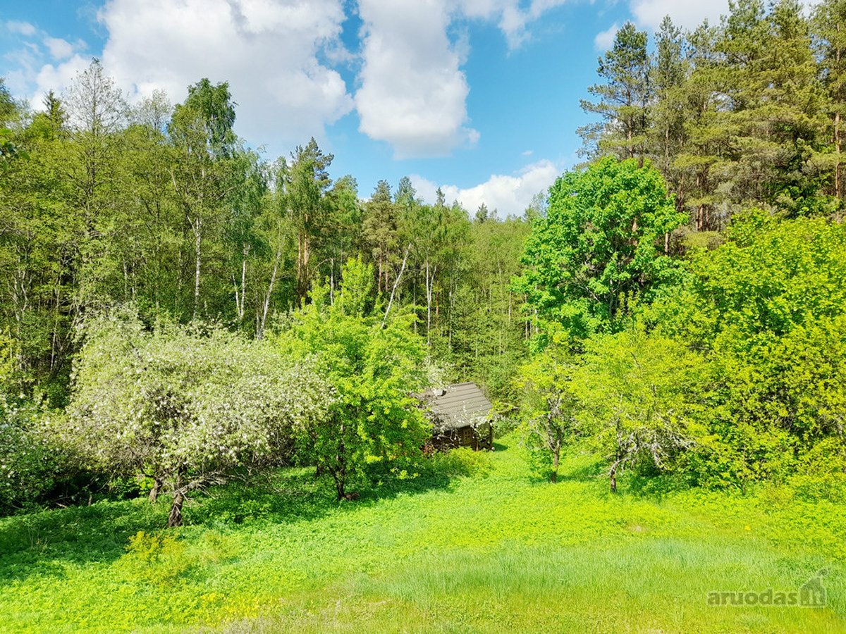 Išskirtinė Sodyba Su Tvenkiniu Miškų - nuotraukos Nr. 22