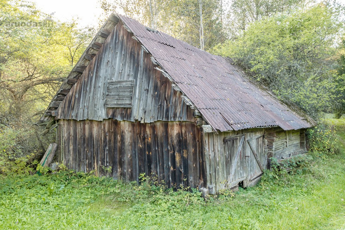 Išskirtinė Sodyba Su Tvenkiniu Miškų - nuotraukos Nr. 23