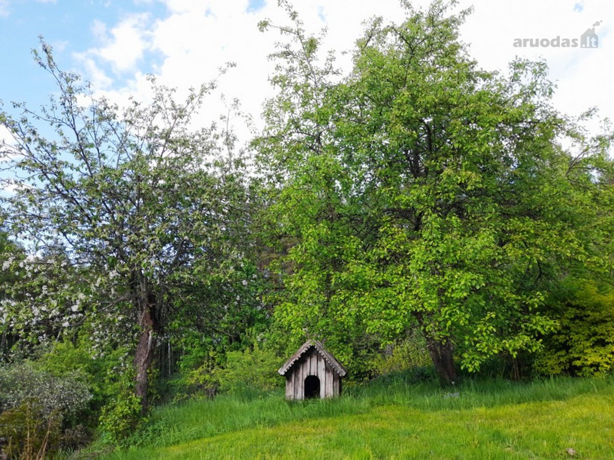 Išskirtinė Sodyba Su Tvenkiniu Miškų - nuotraukos Nr. 24