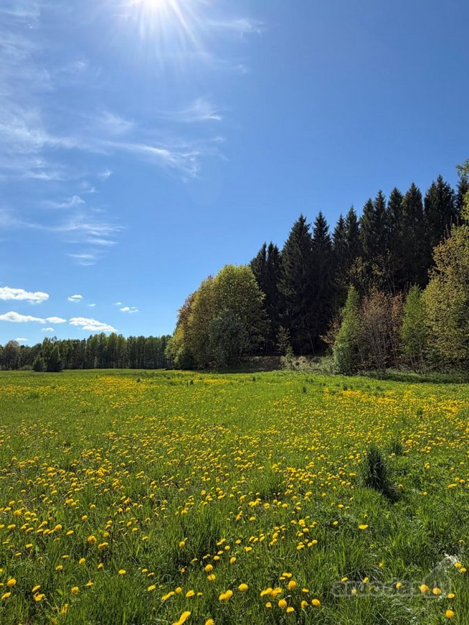 Sodyba su gyvybės šaltiniu: namai, kuriuose - nuotraukos Nr. 30