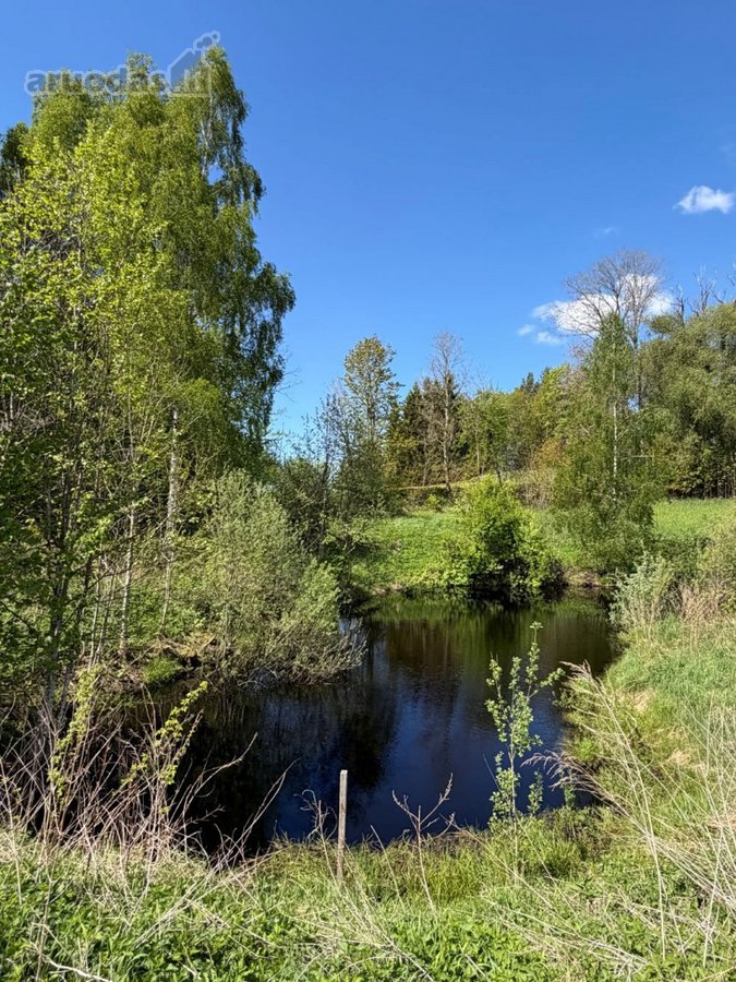 Sodyba su gyvybės šaltiniu: namai, kuriuose - nuotraukos Nr. 31