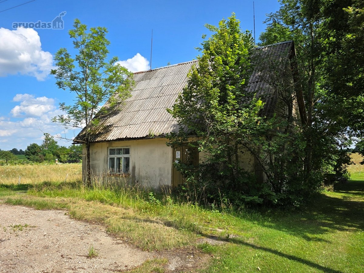 Jaukiame, tvarkingame Maksvyčių kaimelyje, - nuotraukos Nr. 2