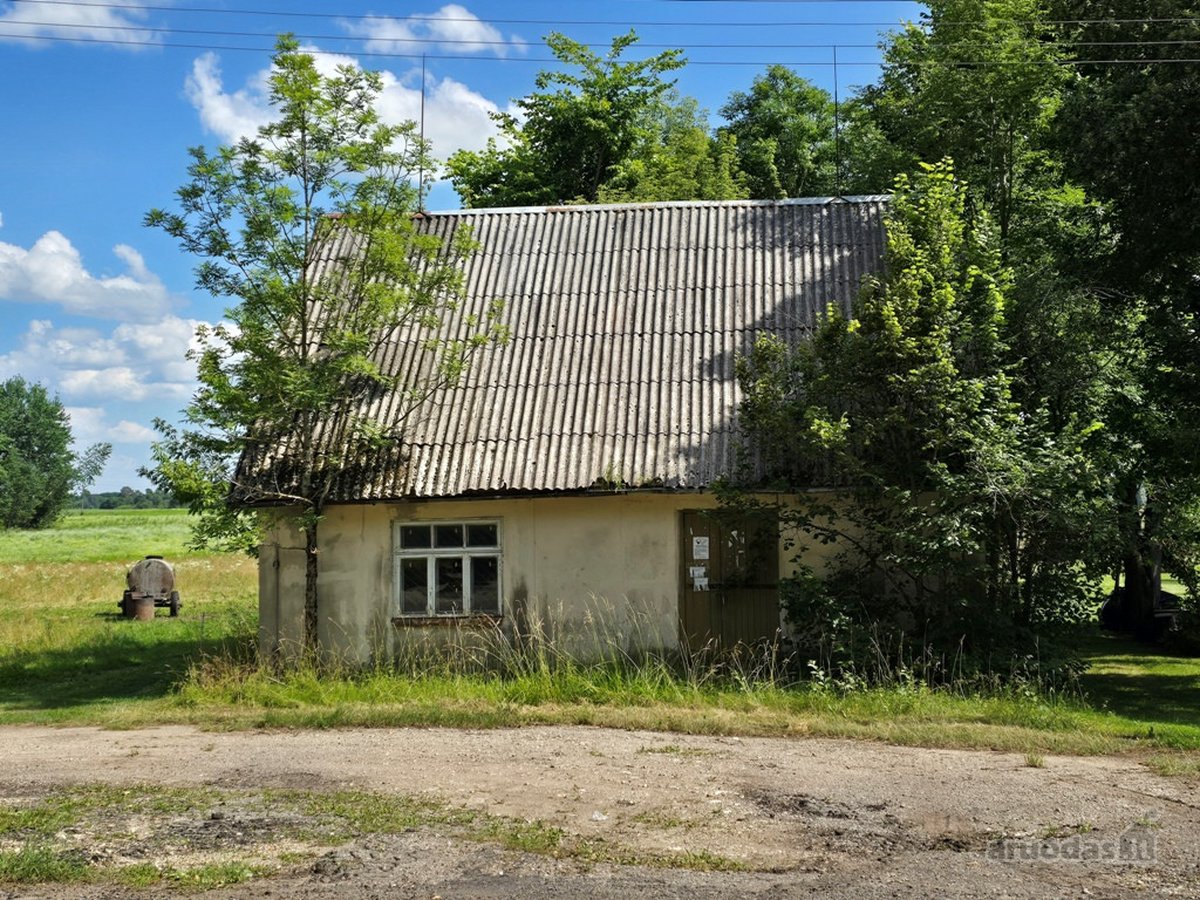 Jaukiame, tvarkingame Maksvyčių kaimelyje, - nuotraukos Nr. 3