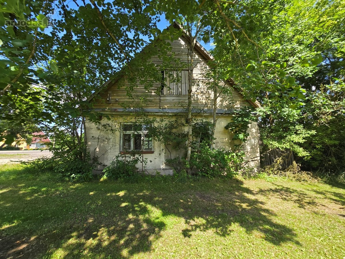 Jaukiame, tvarkingame Maksvyčių kaimelyje, - nuotraukos Nr. 4