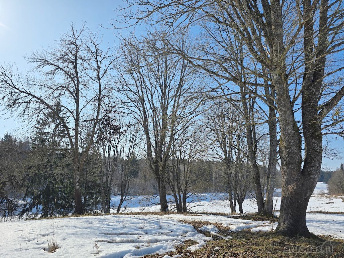 Parduodama išskirtinė sodyba miškų apsuptyje - nuotraukos Nr. 13