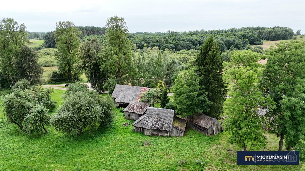 Parduodama sodyba su žemės sklypu ir - nuotraukos Nr. 11