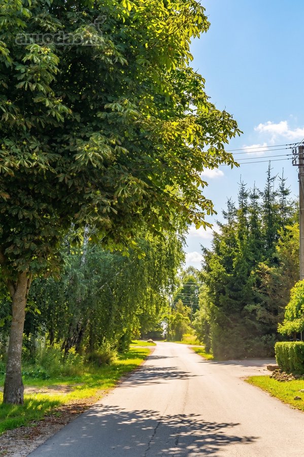 Šviesa, gamtos ramybė ir modernus komfortas: - nuotraukos Nr. 9