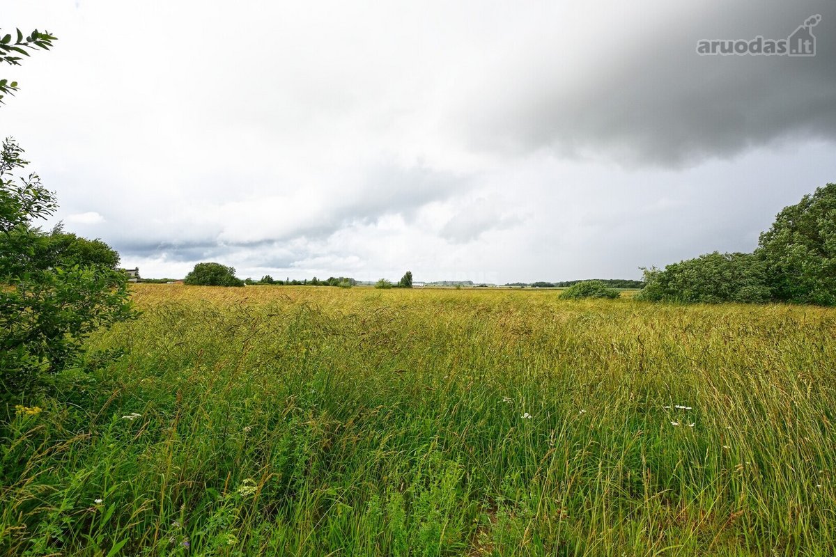 Perspektyvus 1.74 ha sklypas Šlapšilėje – - nuotraukos Nr. 13