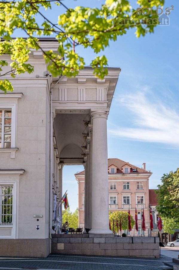 Ramiame ir privačiame J. Basanavičiaus gatvės - nuotraukos Nr. 23