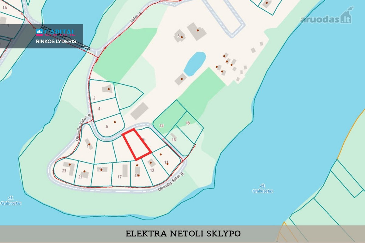 Gamtos Apsuptoje Vietoje, Šalia Ežero - nuotraukos Nr. 8