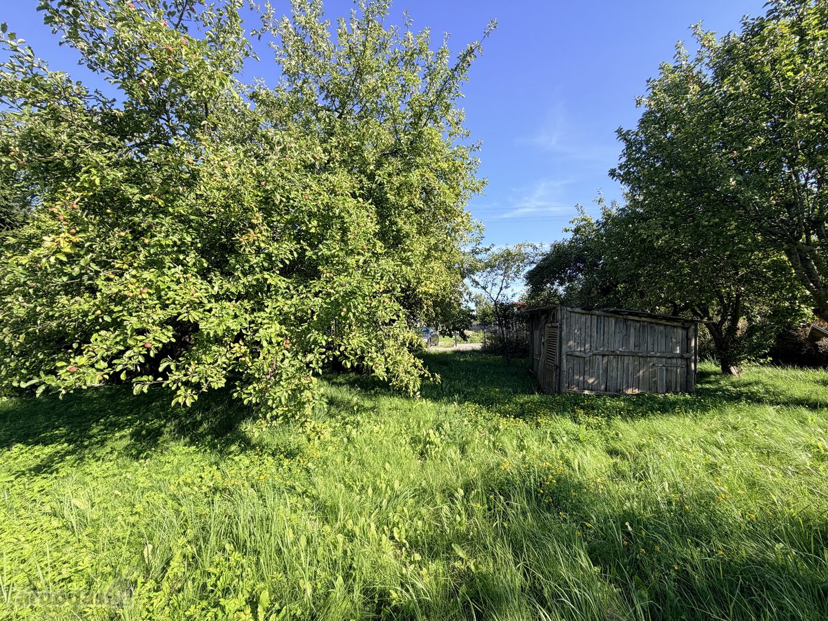Labai Ramioje Vietoje, Eglučių Gatvėje, - nuotraukos Nr. 11