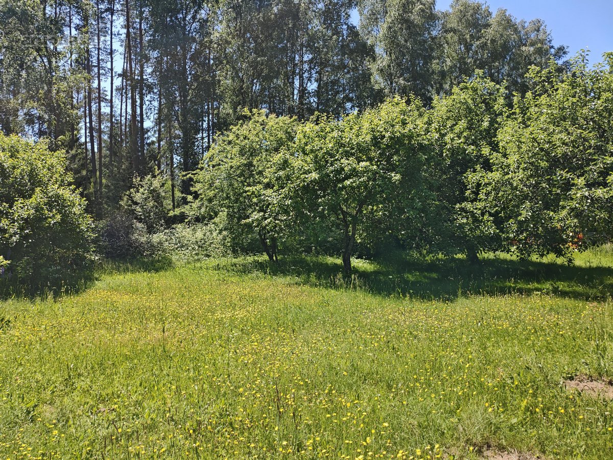 Parduodu žemės ūkio/mėgėjų sodo žemės sklypą - nuotraukos Nr. 2