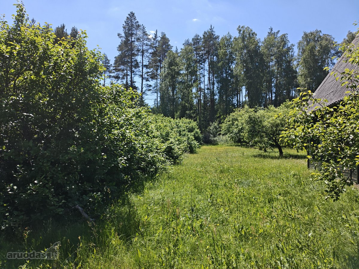 Parduodu žemės ūkio/mėgėjų sodo žemės sklypą - nuotraukos Nr. 11