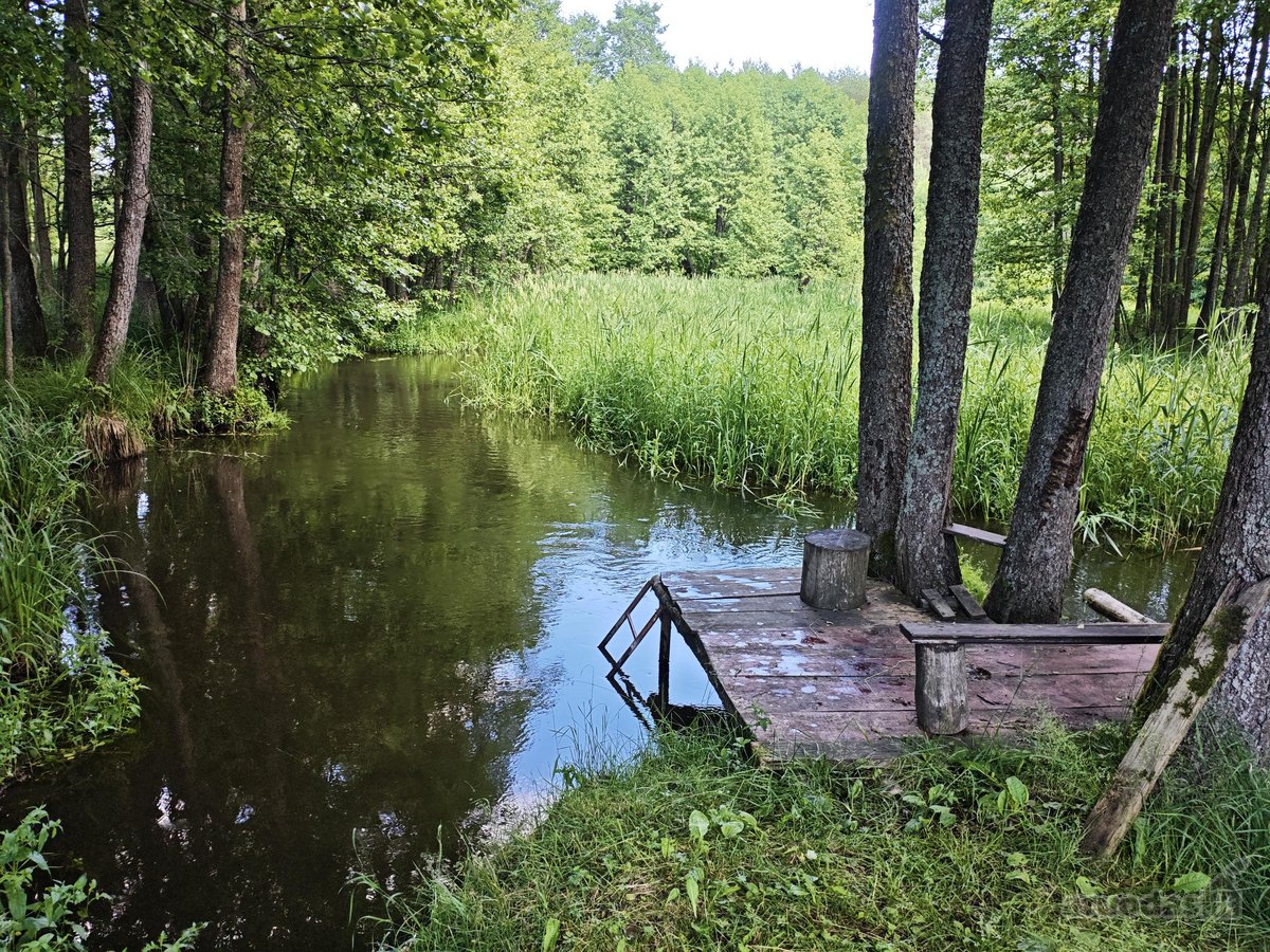 Parduodu žemės ūkio/mėgėjų sodo žemės sklypą - nuotraukos Nr. 23