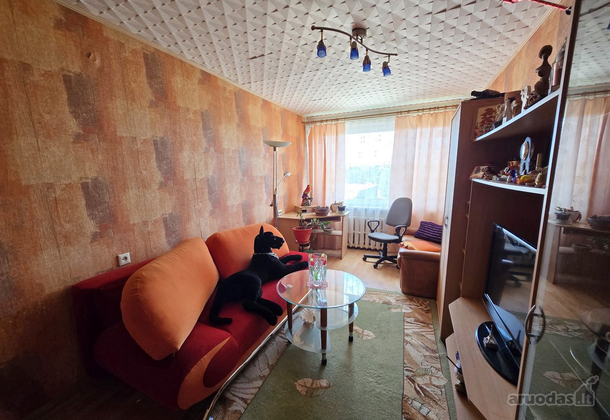 Utenos mieste, uteniškių gerai vertinamame ir - nuotraukos Nr. 3
