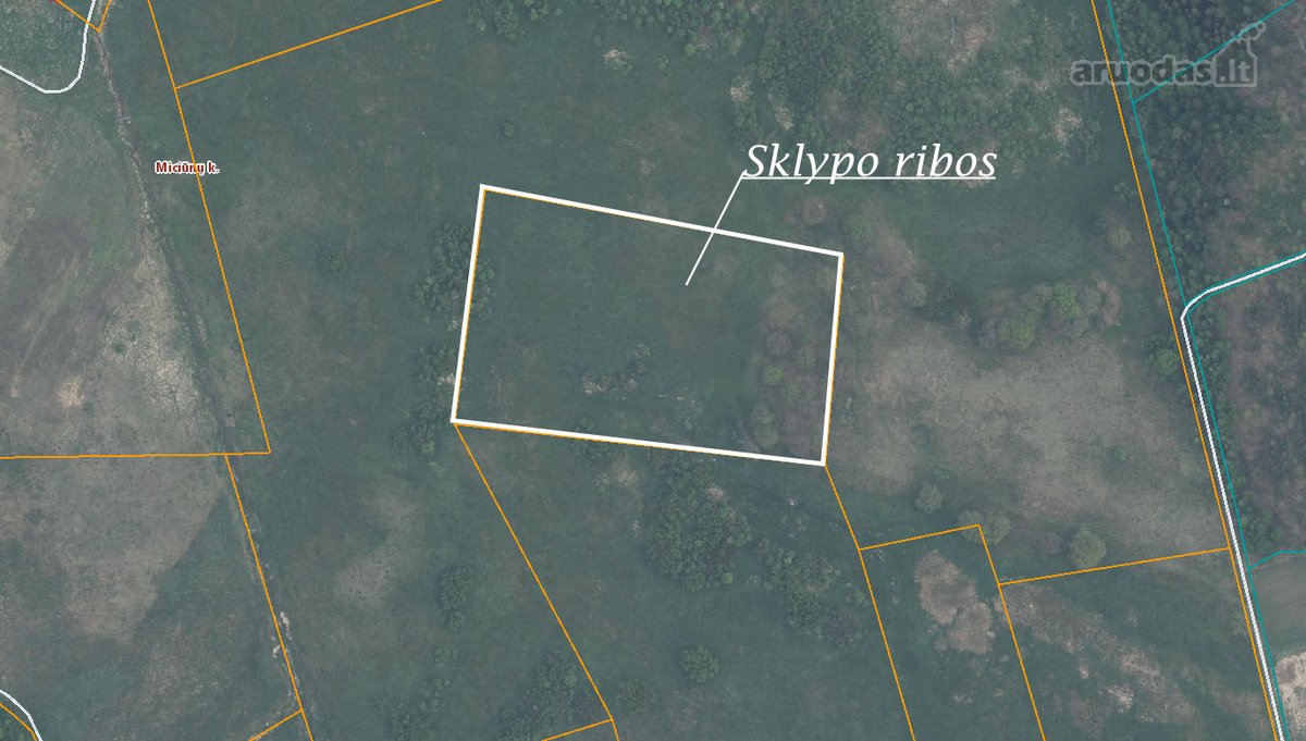 Parduodama 2.52 ha žemės ūkio paskirties - nuotraukos Nr. 2
