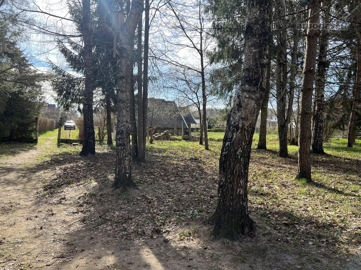 Panevėžio r. sav., Naujikų k. - nuotraukos Nr. 13