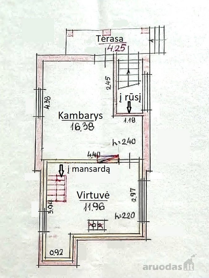Kauniečių pamėgtame Gervėnupyje, sodininkų - nuotraukos Nr. 12