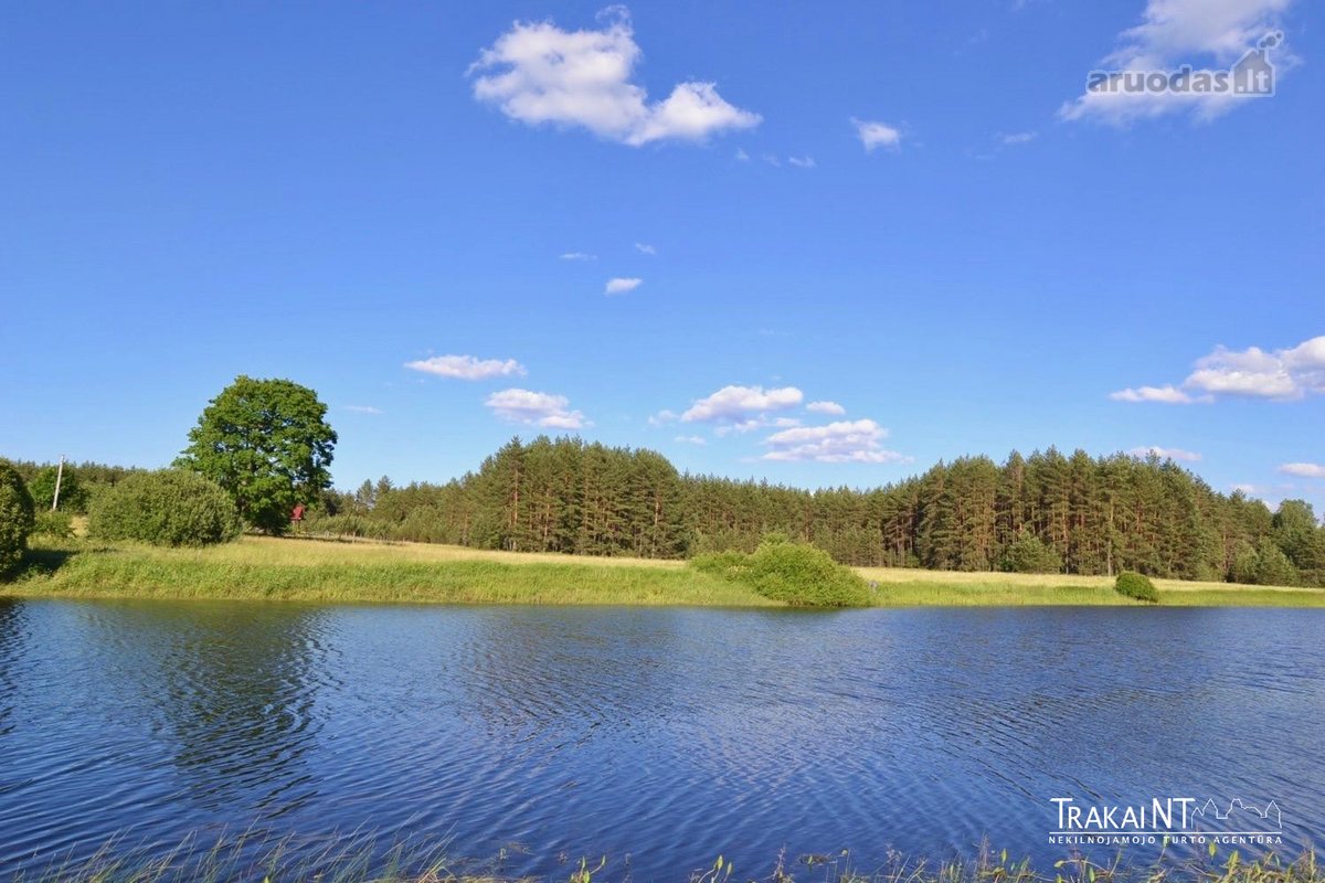 Parduodami 2 Besiribojantys Sklypai (2,54 Ha) - nuotraukos Nr. 5