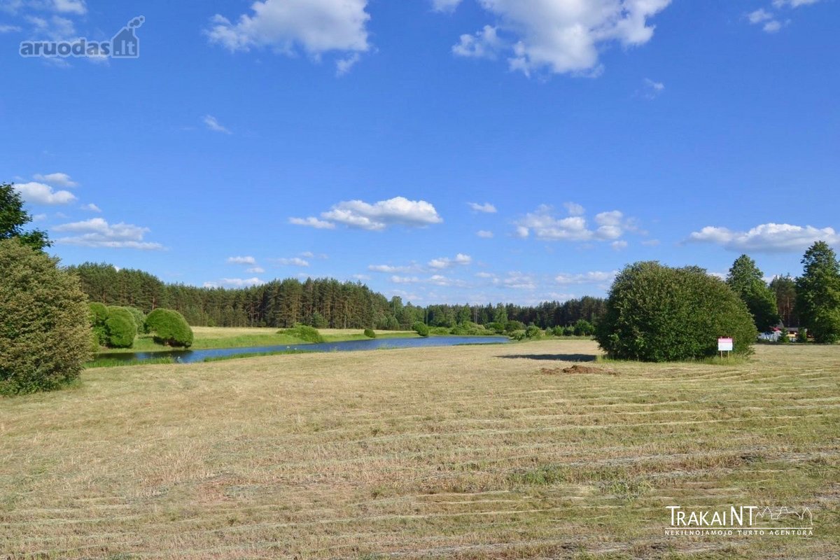 Parduodami 2 Besiribojantys Sklypai (2,54 Ha) - nuotraukos Nr. 10