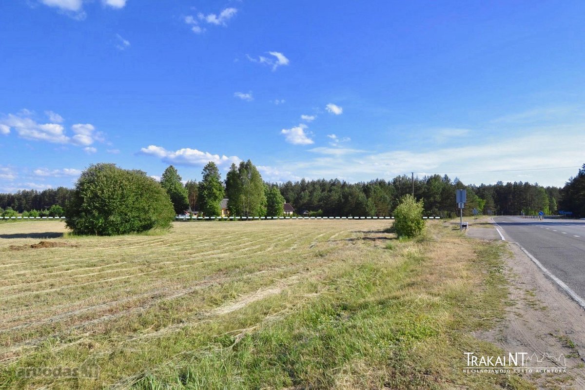 Parduodami 2 Besiribojantys Sklypai (2,54 Ha) - nuotraukos Nr. 11