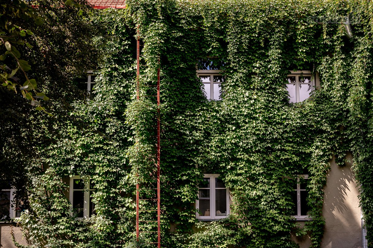 Parduodami išskirtiniai namai Vilniaus - nuotraukos Nr. 10