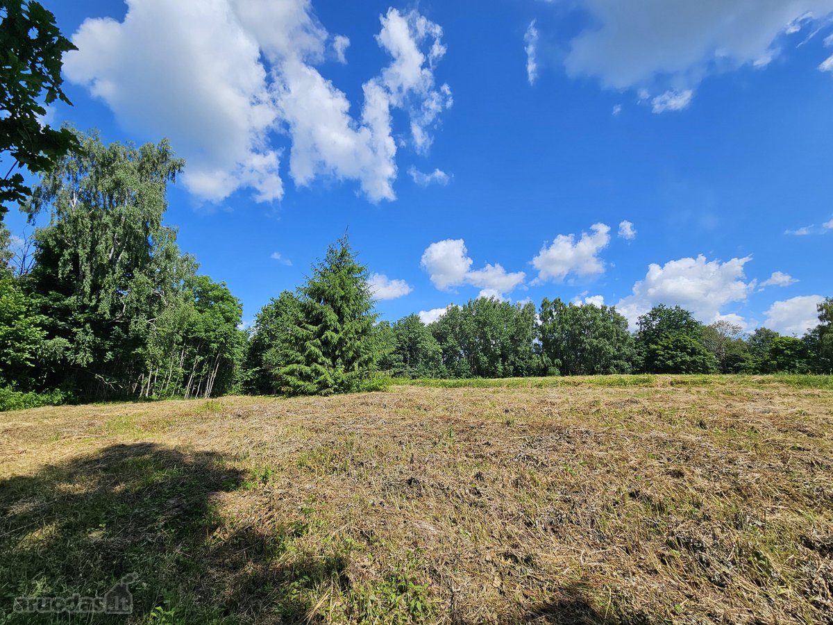 Parduodami Išskirtiniai, Privatūs 81,60 Arų - nuotraukos Nr. 26