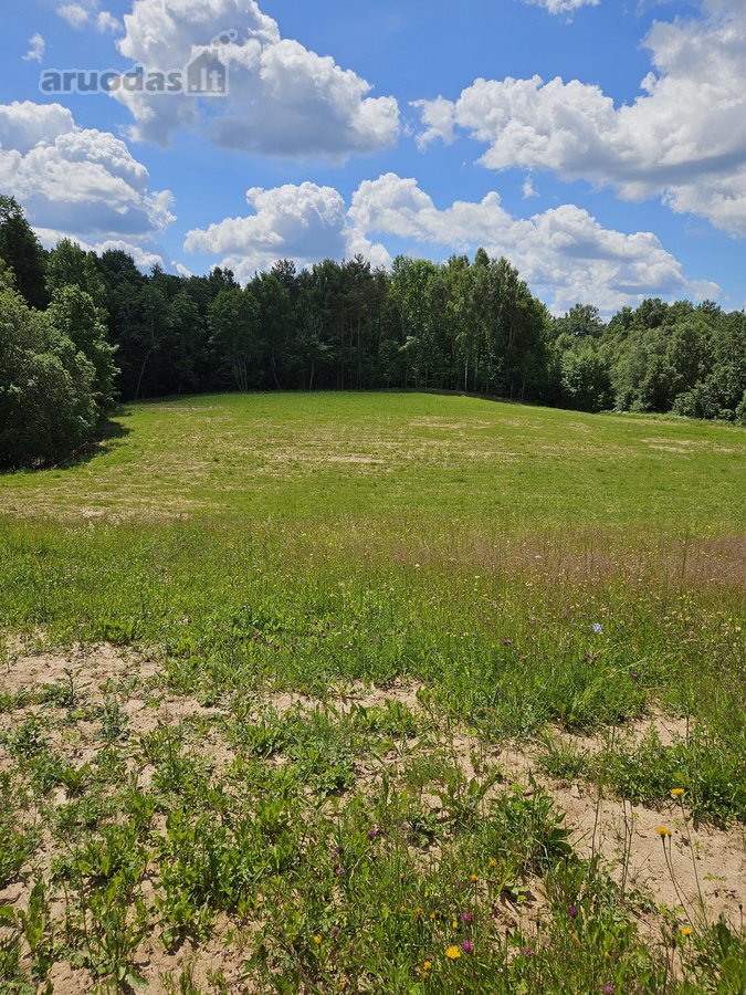 Parduodami Išskirtiniai, Privatūs 81,60 Arų - nuotraukos Nr. 20