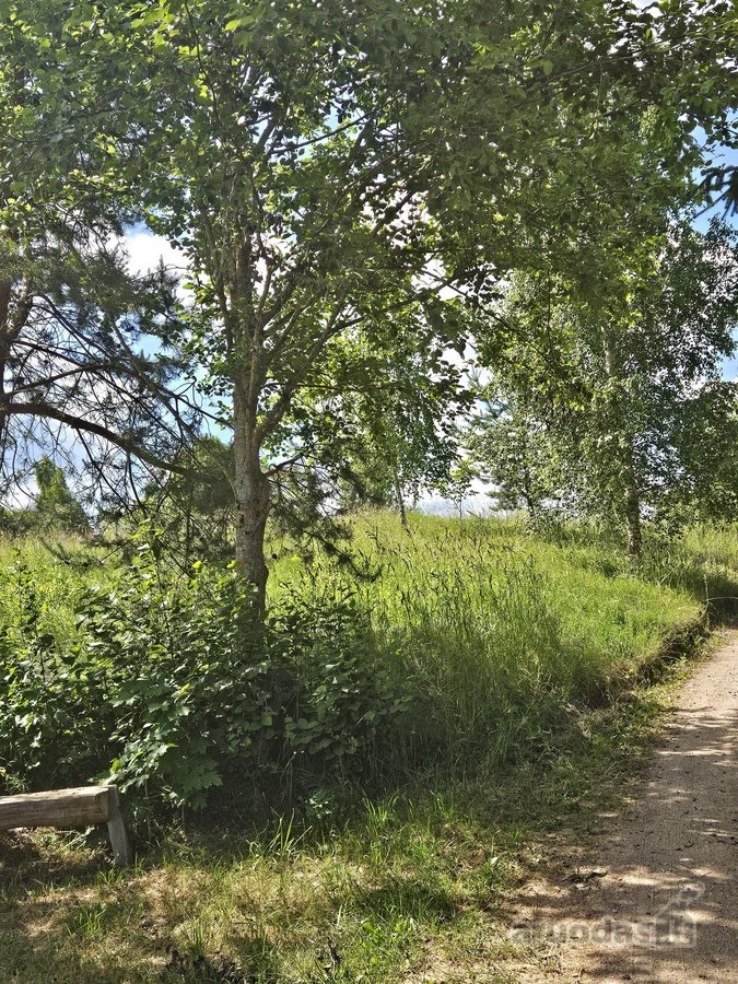 Parduodami Išskirtiniai, Privatūs 81,60 Arų - nuotraukos Nr. 33