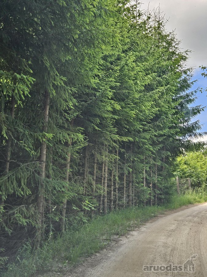 Parduodami Išskirtiniai, Privatūs 81,60 Arų - nuotraukos Nr. 32
