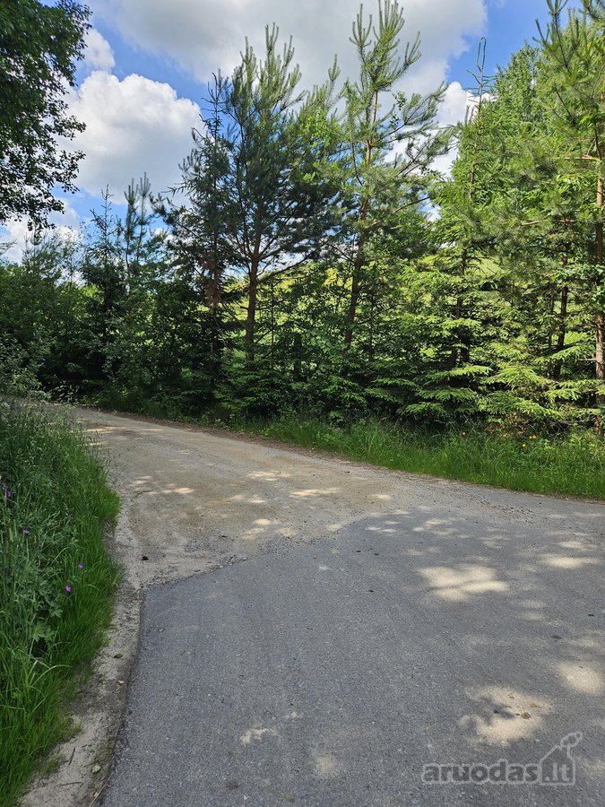 Parduodami Išskirtiniai, Privatūs 81,60 Arų - nuotraukos Nr. 31