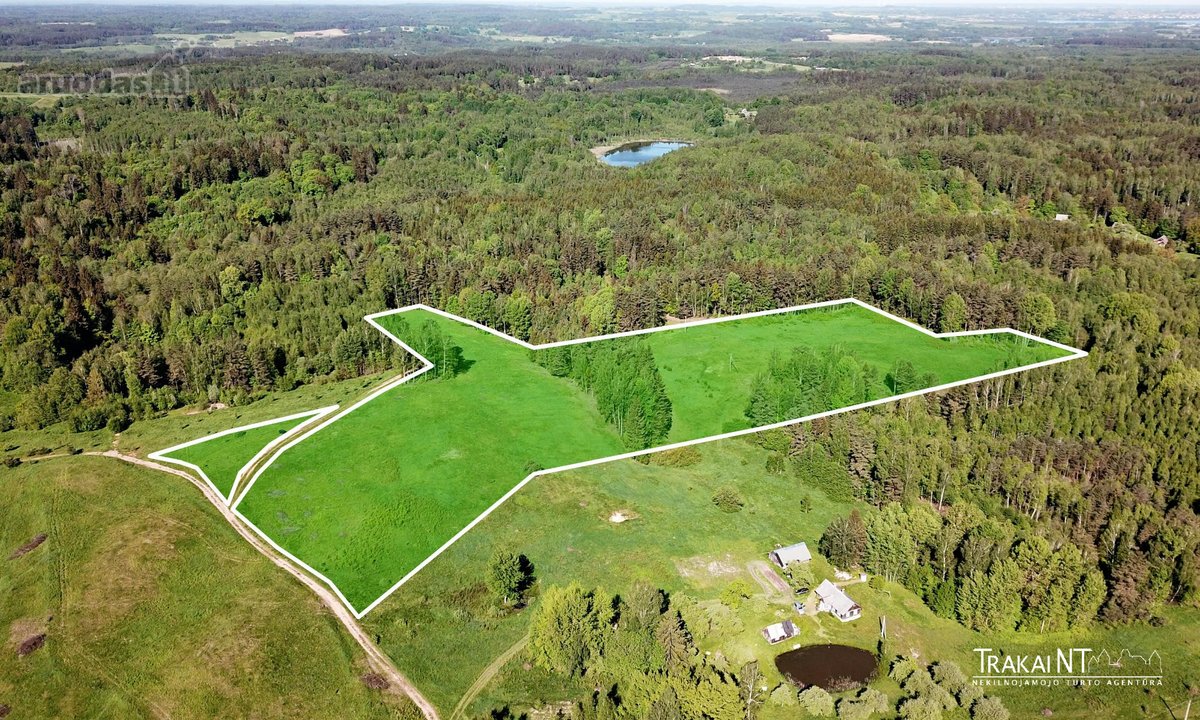 Parduodamas 5,47 Ha Sklypas Ūkininko Sodybai - nuotraukos Nr. 3